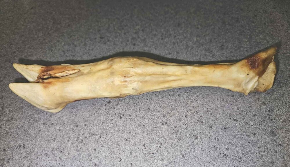 Goat Foot