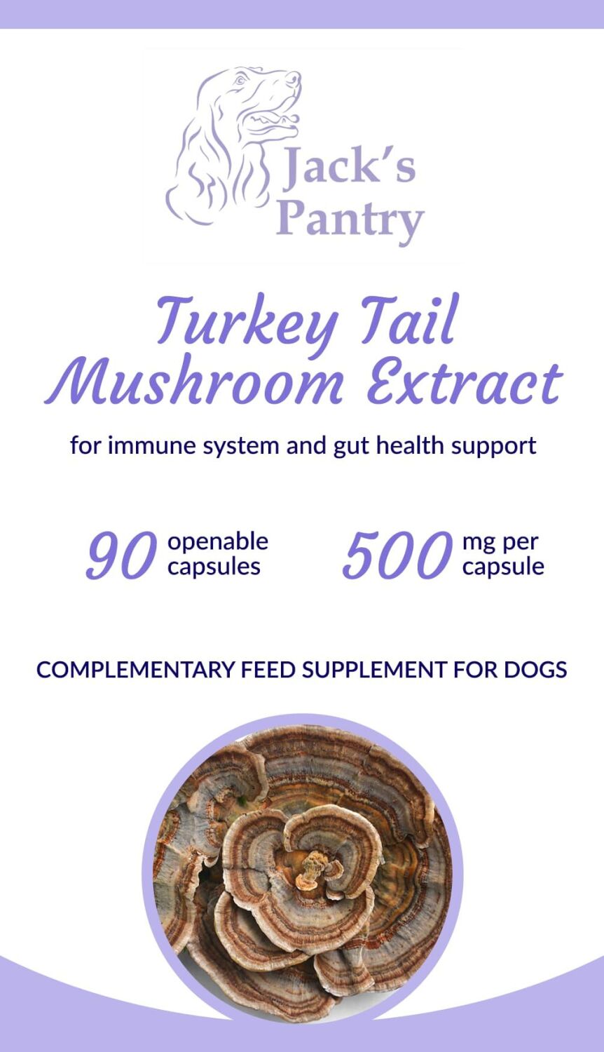 TURKEY TAIL MUSHROOM CAPSULES 90
