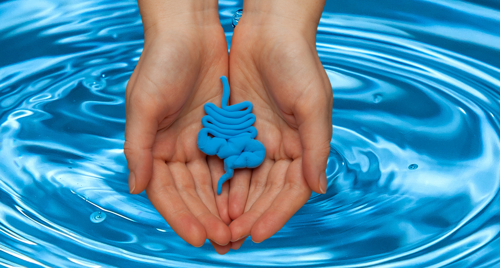 hands holding a digestive system over water