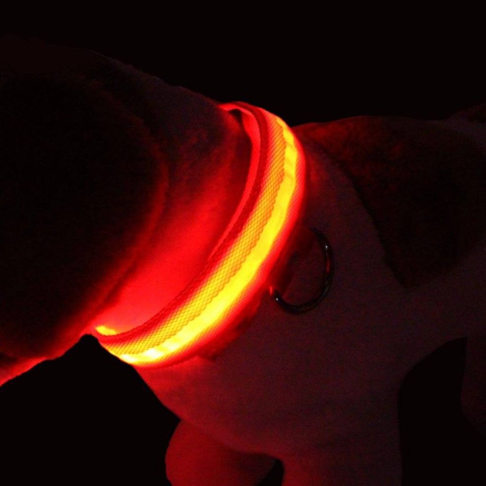 LED Light~Up Safety Collar