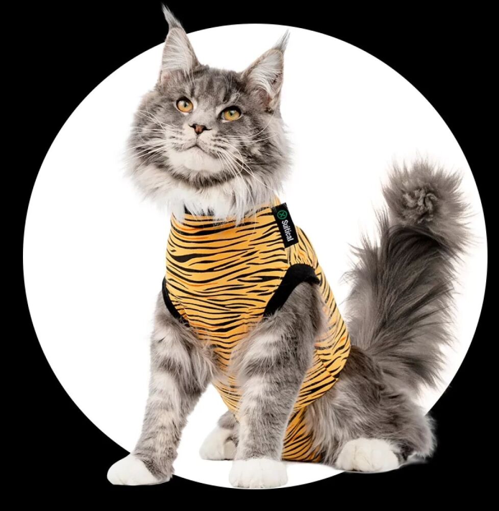 Suitical Cat Recovery Suit Tiger