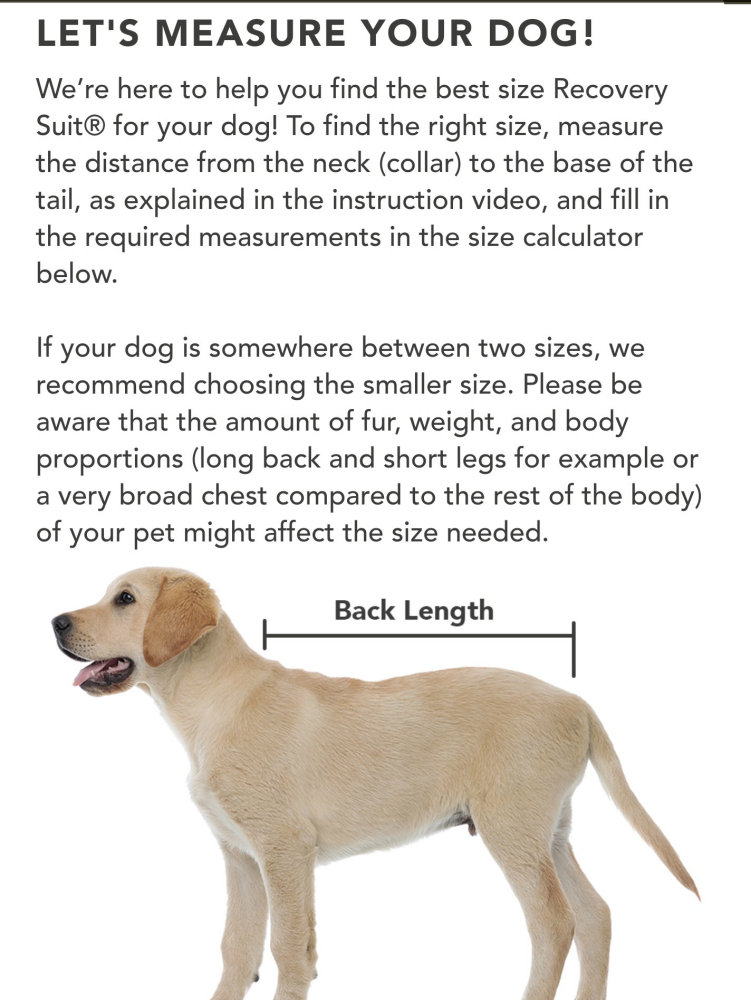 Size Guide Dog 1