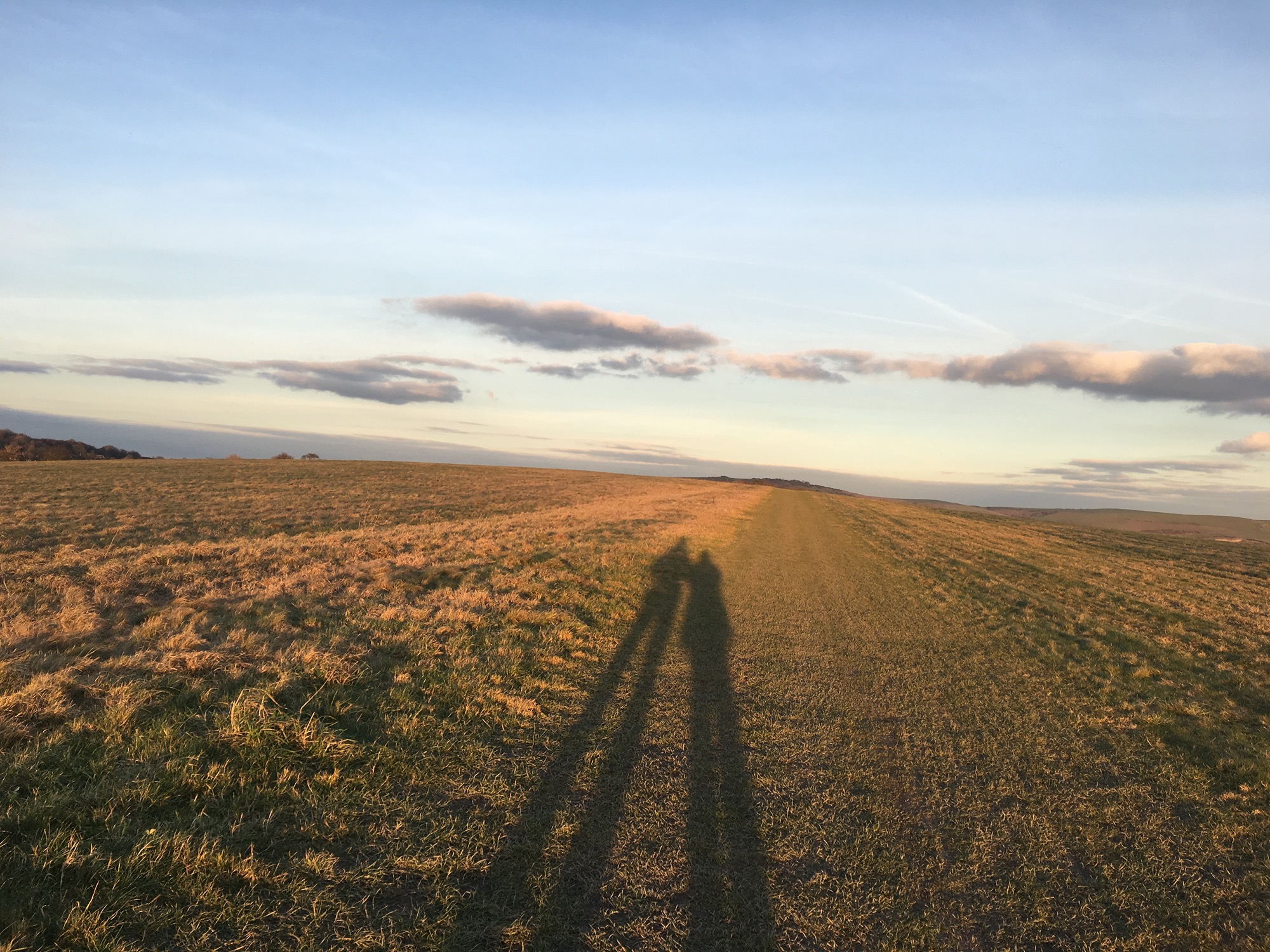 The shadows of two people in a field in low evening light. 