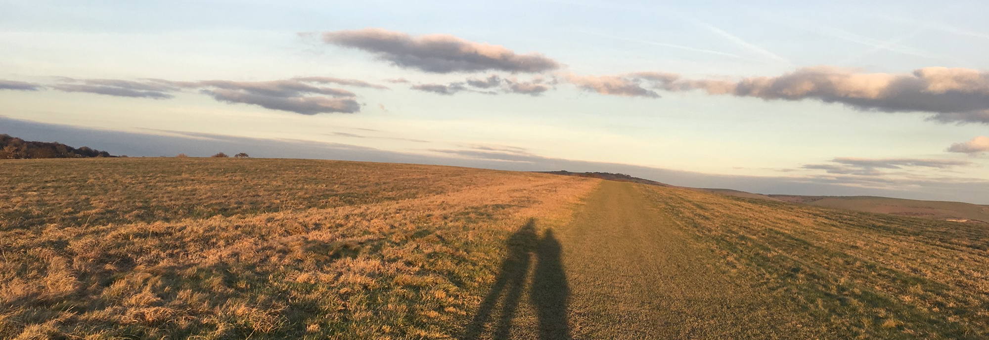 The shadows of two people in a field in low evening light. 