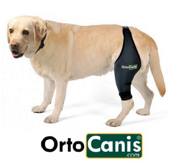 Ortocanis Canine Support Mobility Products