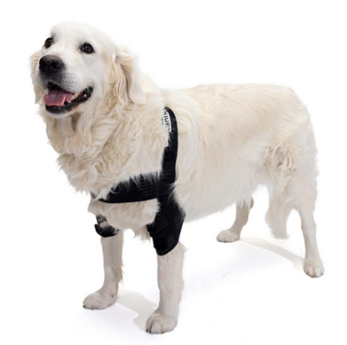 Ortocanis Canine Dual Elbow Pad