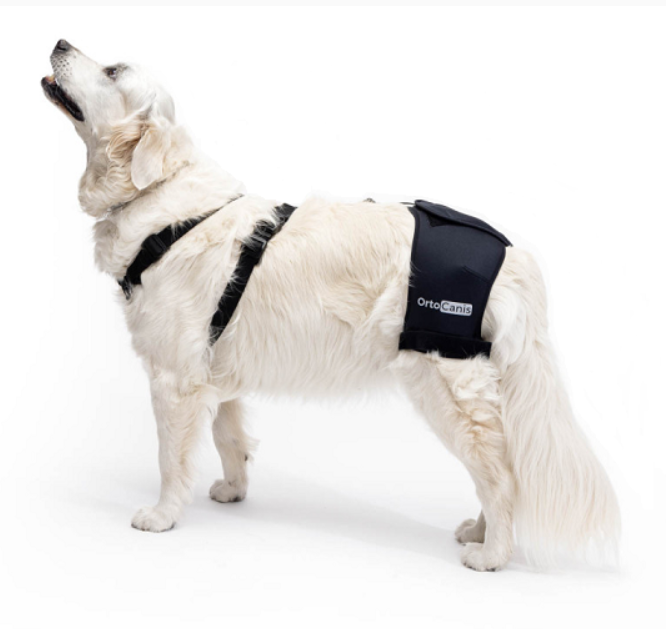 Ortocanis Canine Hip & Back Brace