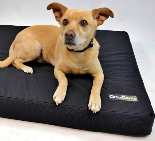 Ortocanis Orthopaedic Dog Bed