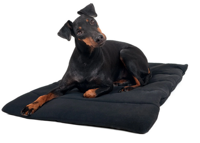 Bedding