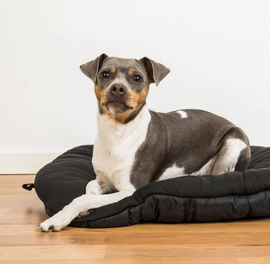 Back on Track® Dog Travel Mattress