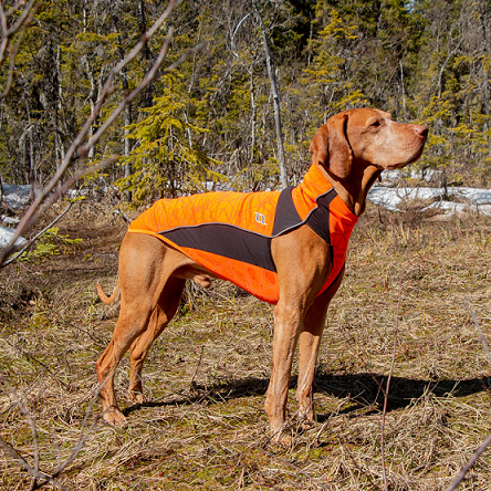 Back on Track® Canine High Visibility Jumper, Eddie