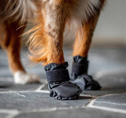 17Back on Track&reg; Dog Pet Shoes, Koda