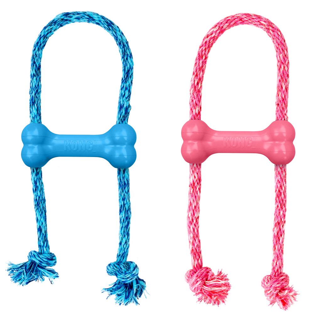 KONG Puppy Goodie Bone With Rope