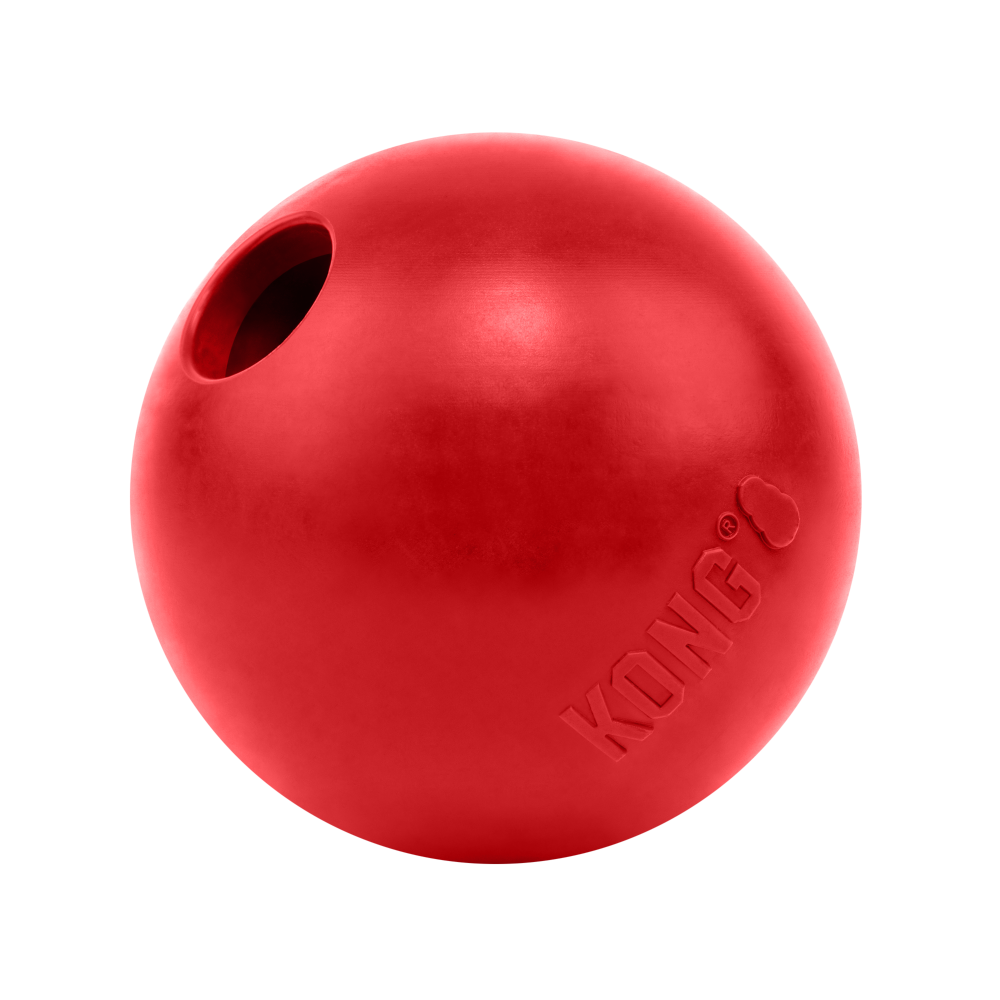 KONG Ball With Hole