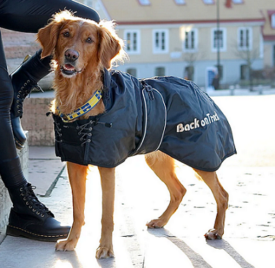 Back on Track® Dog Coat, Standard