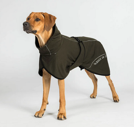 Back on Track® Mesh Dog Coat, Bay