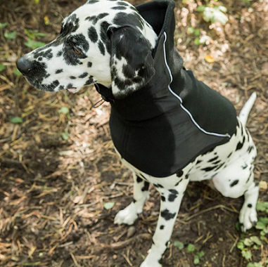 Back on Track® Dog Neck Warmer, Benji