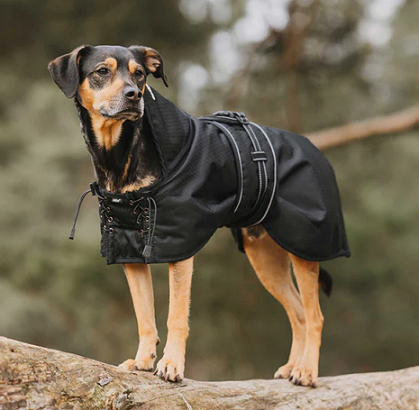 05Back on Track&reg; Multi Seasoon Dog Coat