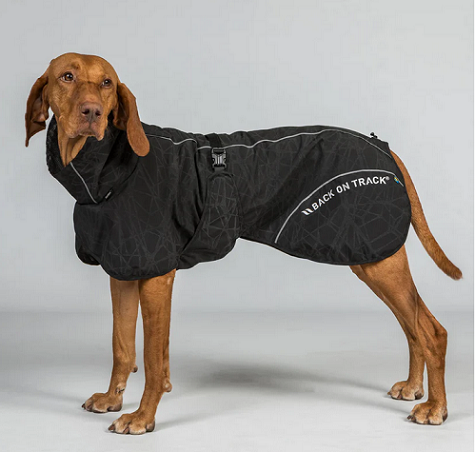 10Back on Track&reg; Rain Dog Coat, BAY