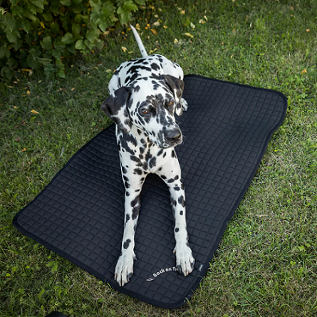Back on Track&reg; Canine Mattress, Allround