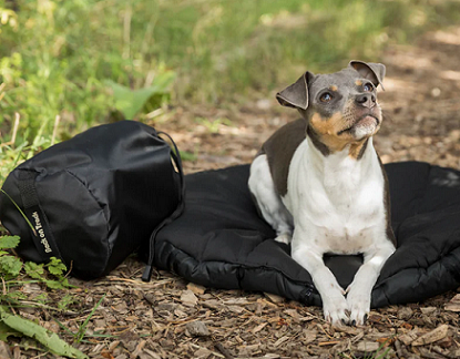 Back on Track&reg; Dog Travel Mattress
