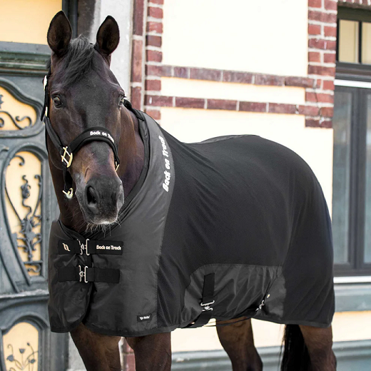 Back on Track&reg; Horse Mesh Rug, Royal Deluxe