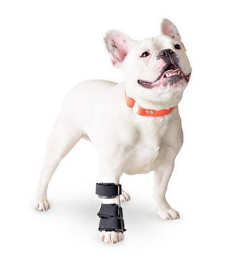 Ortocanis Dog Carpal Splint