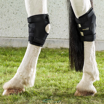 Back on Track&reg; Equine Hock Boots, With Hole