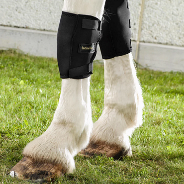 Back on Track&reg; Horse Knee Brace