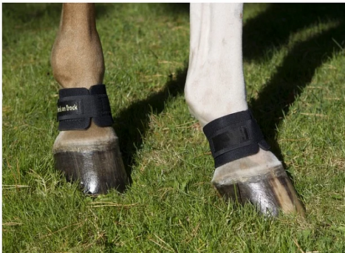 Back On Track&reg; Horse Pastern Wraps