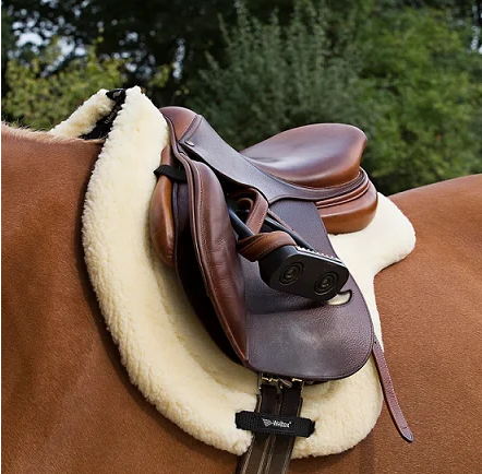 Back on Track&reg; Equine Teddy Saddle Pad