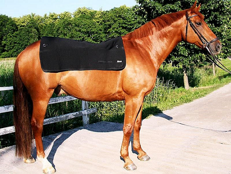 Back on Track&reg; Horse Back Warmers, Standard & Royal