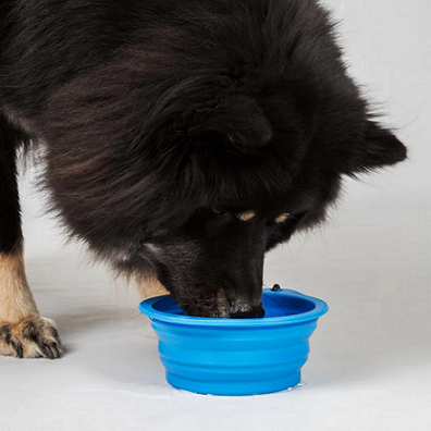Back on Track&reg; Collapsable Dog Bowl