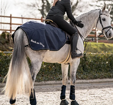 Back on Track&reg; Horse Exercise Rug, Sammy