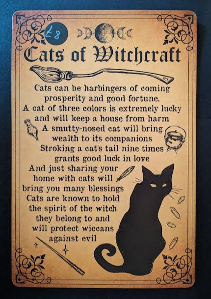 Cats of Witchcraft