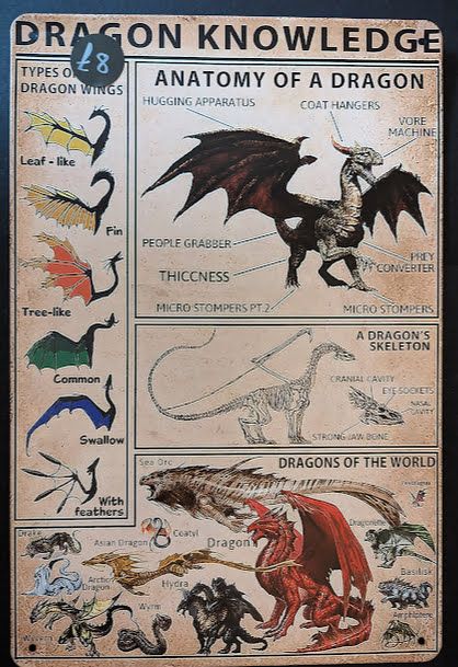 Dragon Knowledge