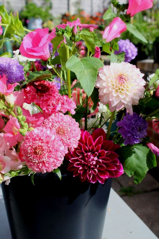 Flower Arranger Buckets