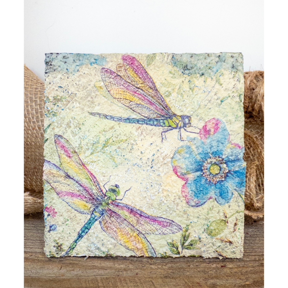 <!-- 002 -->sky ~ winged wonders