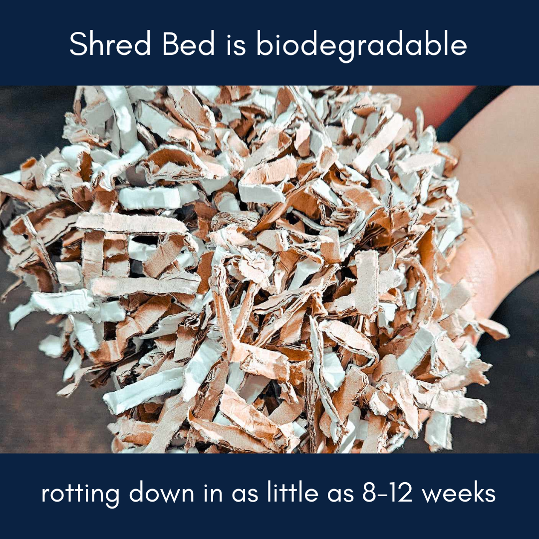 About Shred Bed; dust extracted animal bedding