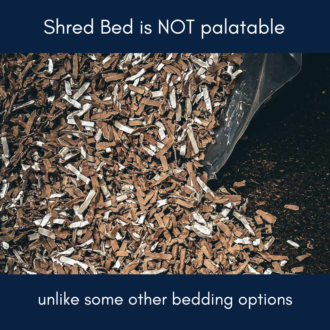 About Shred Bed; dust extracted animal bedding