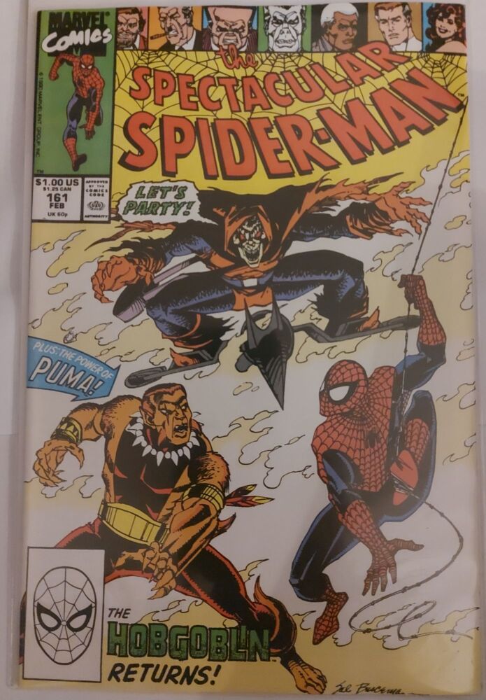 Peter Parker The Spectacular Spider-Man #161