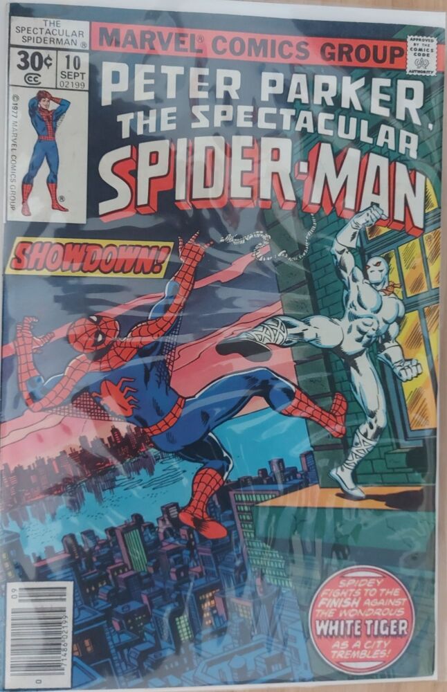 Peter Parker The Spectacular Spider-Man #10