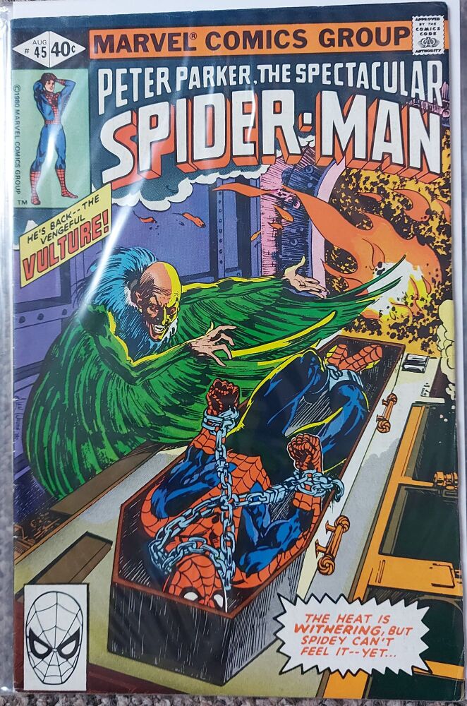 Peter Parker The Spectacular Spider-Man #45