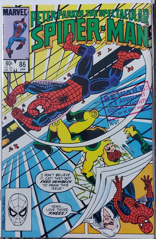 Peter Parker The Spectacular Spider-Man #86