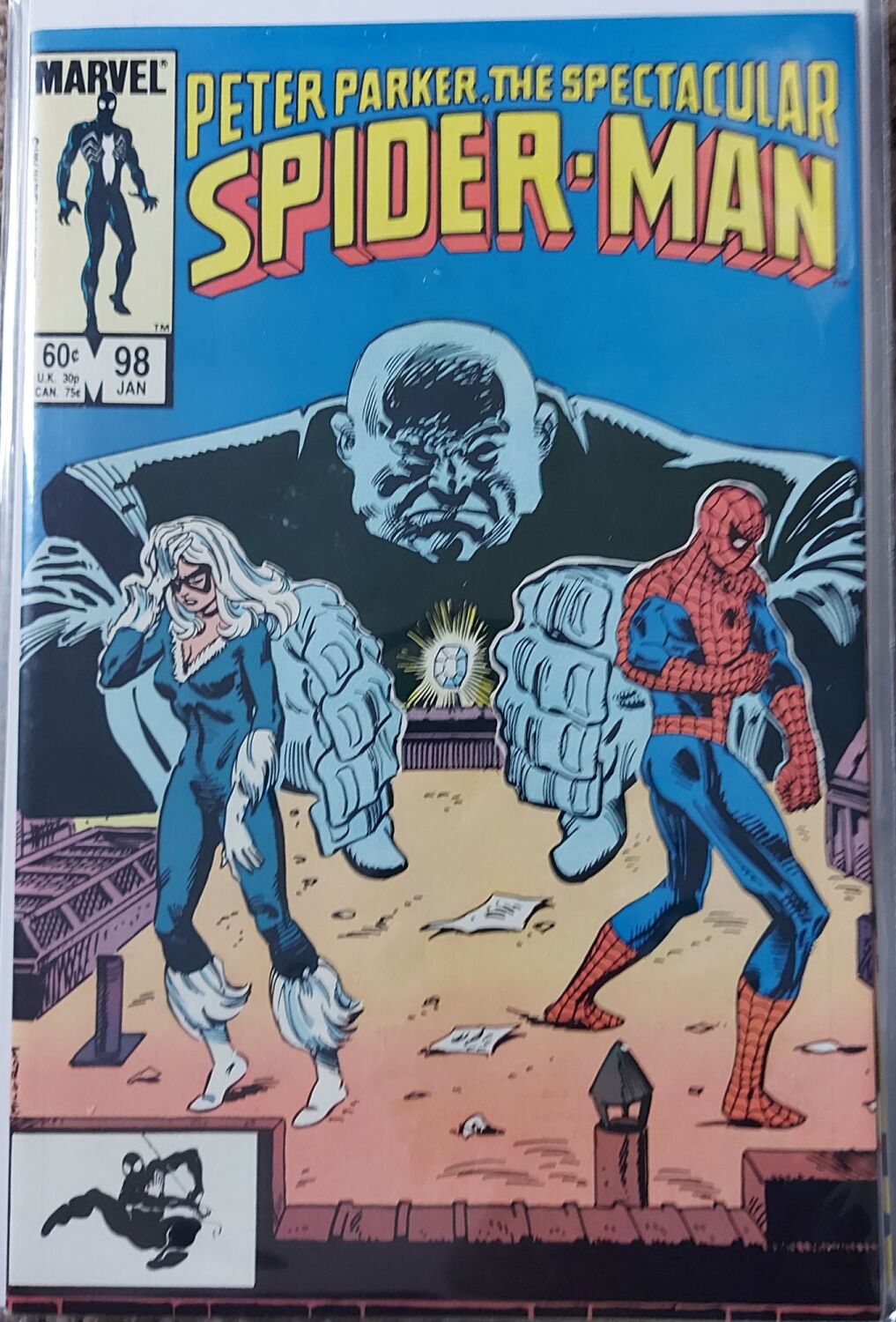 Peter Parker The Spectacular Spider-Man #98