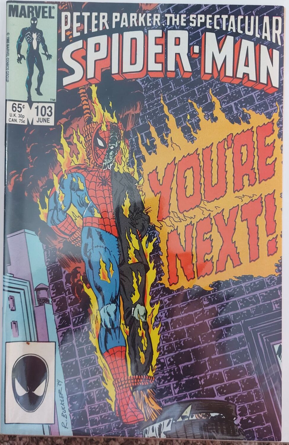 Peter Parker The Spectacular Spider-Man #103