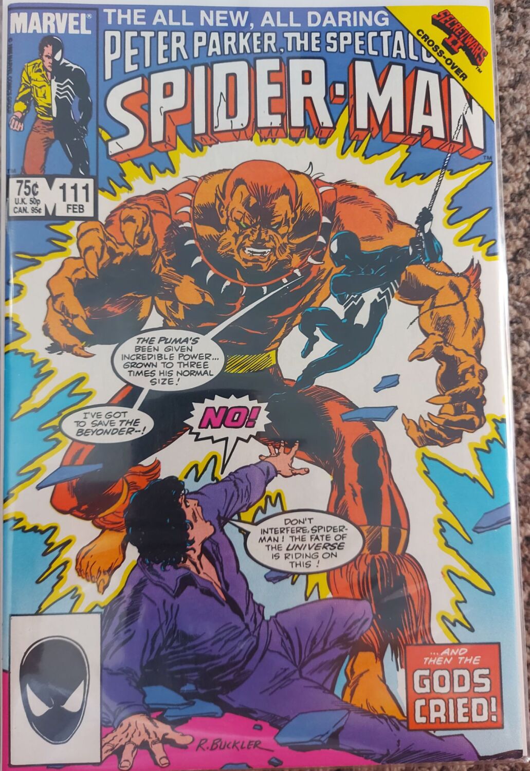 Peter Parker The Spectacular Spider-Man #111