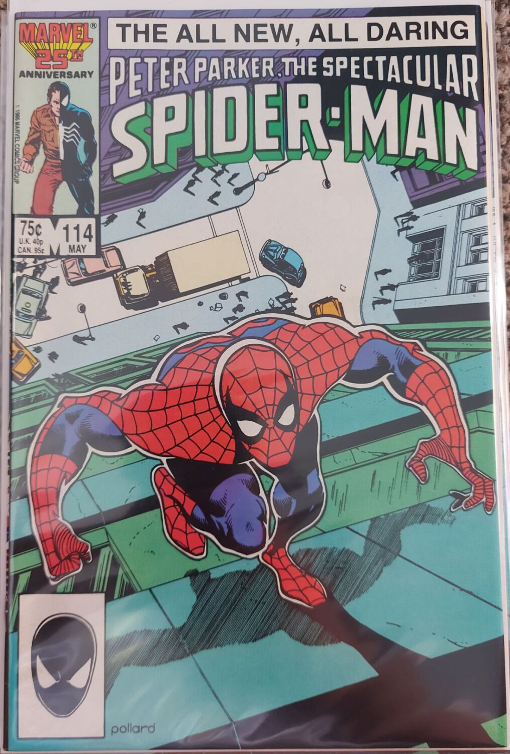 Peter Parker The Spectacular Spider-Man #114