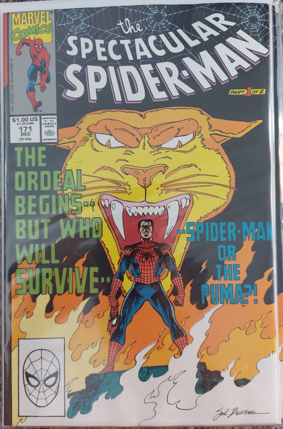 Peter Parker The Spectacular Spider-Man #171