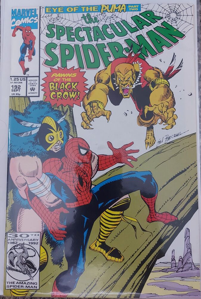 Peter Parker The Spectacular Spider-Man #192